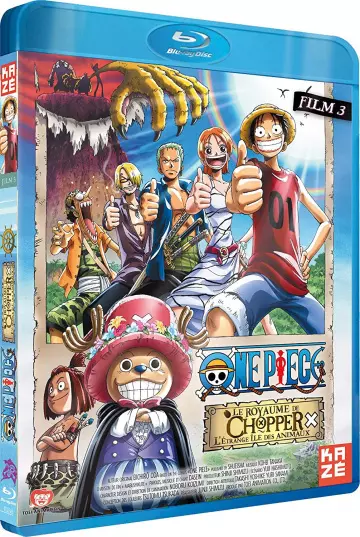 One Piece - Film 3 : Le royaume de Chopper  [BLU-RAY 720p] - VOSTFR