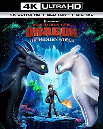 Dragons 3 : Le monde caché [BLURAY REMUX 4K] - MULTI (FRENCH)