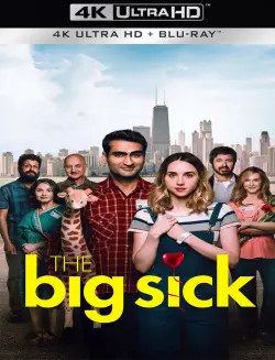 The Big Sick [WEB-DL 4K] - MULTI (FRENCH)