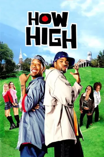 How High [DVDRIP] - MULTI (TRUEFRENCH)