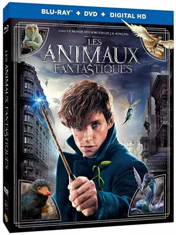 Les Animaux fantastiques  [HDLIGHT 1080p] - MULTI (TRUEFRENCH)