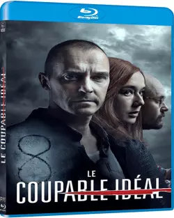 Le Coupable idéal  [BLU-RAY 720p] - FRENCH