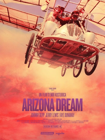 Arizona Dream  [WEB-DL 1080p] - MULTI (FRENCH)