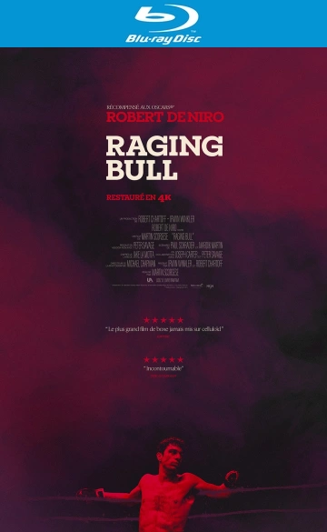 Raging Bull [HDLIGHT 1080p] - FRENCH