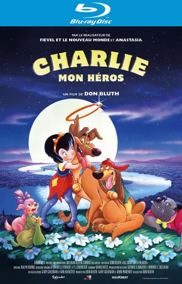 Charlie, mon héros  [HDLIGHT 1080p] - MULTI (TRUEFRENCH)