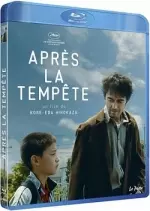 Après la tempête [BLU-RAY 1080p] - FRENCH