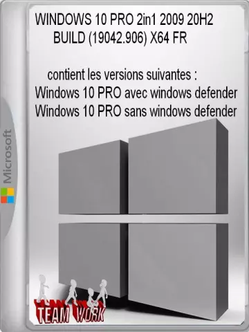 WINDOWS 10 PRO 2in1 2009 20H2 BUILD (19042.906) X64