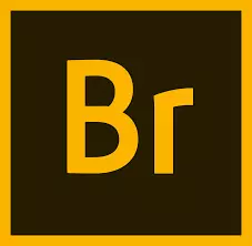 Adobe Bridge CC 2019 v9.1.0.338