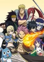 Fairy Tail - Saison 2 - vostfr