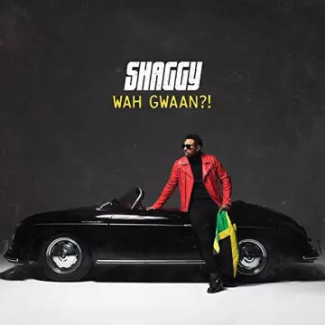 Shaggy - Wah Gwaan?! [Albums]