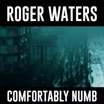 Roger Waters - Comfortably Numb (EP)  [Albums]