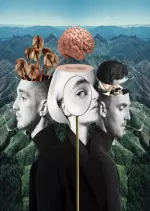 Clean Bandit - What Is Love? (Deluxe)  [Albums]