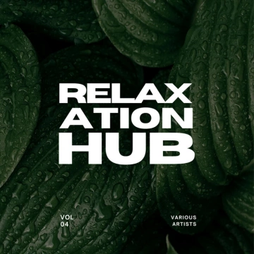 FLAC RELAXATION HUB VOL. 4 [Albums]