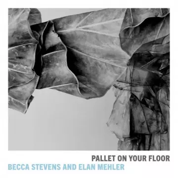 Becca Stevens & Elan Mehler - Pallet on Your Floor [Albums]