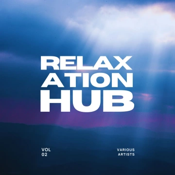 FLAC RELAXATION HUB VOL. 2  [Albums]