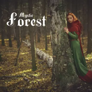 CELTIC SPIRIT - Mystic Forest Relaxing Celtic Music 2022 [Albums]