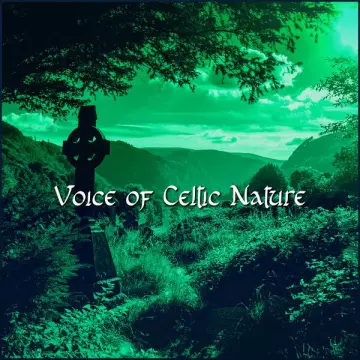 Celtic Music Voyages - Voice of Celtic Nature_ Celtic Meditation and Relaxation  [Albums]