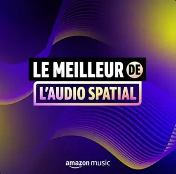 LE MEILLEUR DE L'AUDIO SPATIAL [Albums]