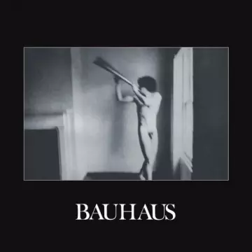 Bauhaus - In the Flat Field [Albums]