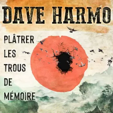 Dave Harmo - Plâtrer les trous de mémoire  [Albums]