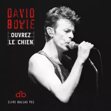 David Bowie - Ouvrez Le Chien (Live Dallas 95)  [Albums]