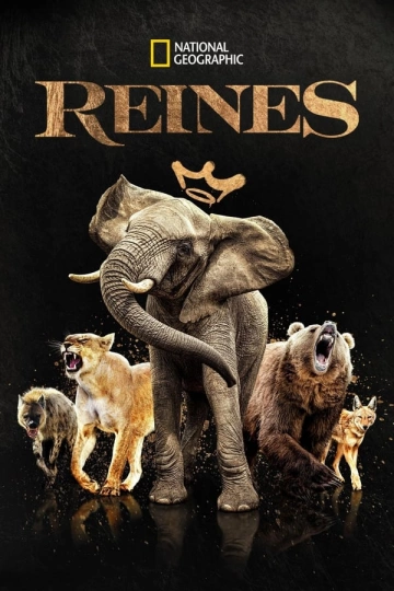 Reines - Saison 1 - vf