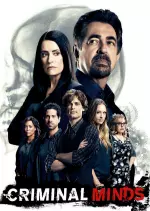 Esprits criminels - Saison 14 - vostfr