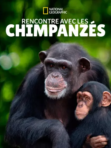 Rencontre avec les chimpanzés - Saison 1 - VF