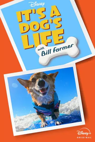 It's A Dog's Life - Saison 1 - VOSTFR