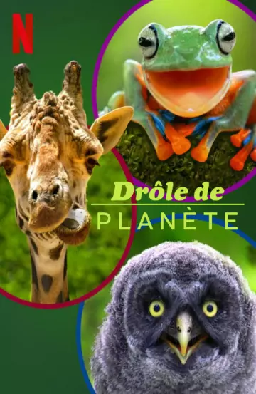 Drôle de planète - Saison 1 - VF